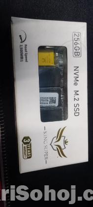 256 GB M.2 NVME